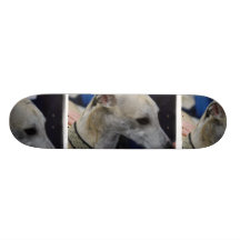 Whippet Puppy Skateboard