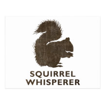 Whisperer vintage d'écureuil cartes postales