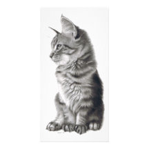 Whistful Photocartes Personnalisées