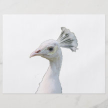 White albino peacock head cutout flyer design