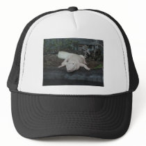 white alligator mesh hats