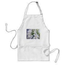 White Allium 1 Angelic Aprons
