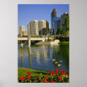 White Along the Bow River, Canada flowers posters