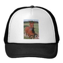 white American saddlebred flowers Mesh Hats
