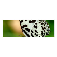 White and Black Spotted Pierrot Butterfly Business Card Templates
