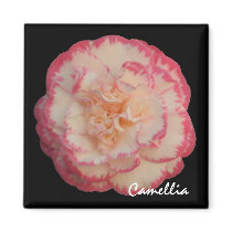 White and Pink Camellia Magnet