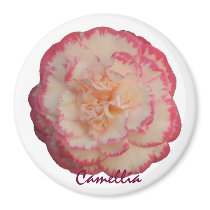 White and Pink Camellia Magnet