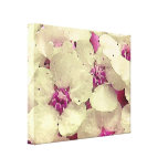 White and Pink Floral Gallery Wrap Canvas