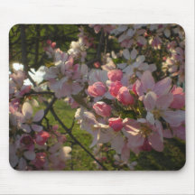 White and Pink Flowering Tree by Creek Mousepad