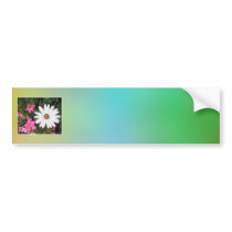 White and pink flowers. bumper sticker