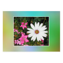 White and pink flowers. business card template