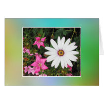 White and pink flowers. cards