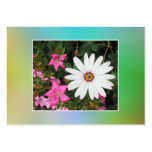 White and pink flowers. Custom business cards
