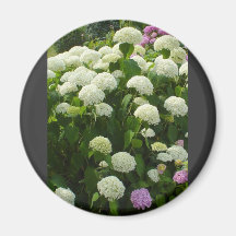 White And Pink Flowers Fridge Magnet