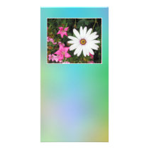 White and pink flowers. customized photo card