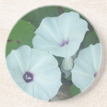 White and Purple flowers Coaster