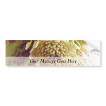 White And Purple Hellebore Bumper Stickers