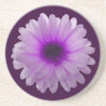 White and Purple Marigold Coasters