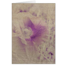 White and Purple Poppy Floral Cards