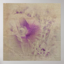 White and Purple Poppy Floral Print