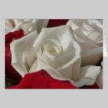White and Red Rose Card cards