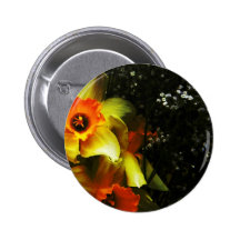 White and Yellow Buttons