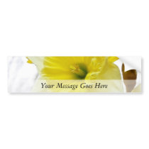 White And Yellow Daffodil Bumper Sticker