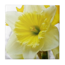 White And Yellow Daffodil Tile