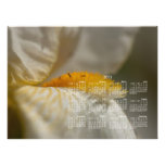 White and Yellow Iris; 2013 Calendar Photograph