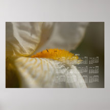 White and Yellow Iris; 2013 Calendar Posters