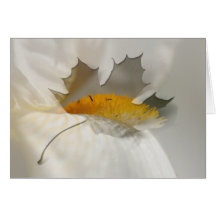 White and Yellow Iris; Customizable Greeting Card