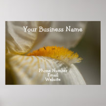 White and Yellow Iris; Promotional Posters