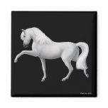 White Andalusian Horse Magnet