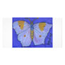 White Angled Sulphur Butterfly Photo Card