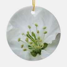 White Apple Blossom Close-Up Christmas Tree Ornament