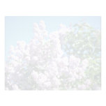 white Apple blossoms, Renfrew flowers Custom Letterhead