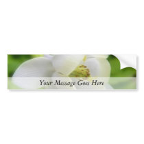 White Aquilegia Flabellata Bumper Stickers