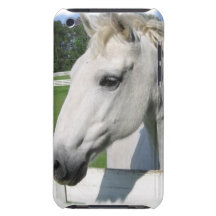 White Arabian Horse iTouch Case iPod Touch Case-Mate Case