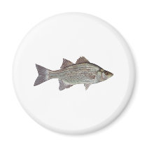 White Bass Logo Fridge Magnets