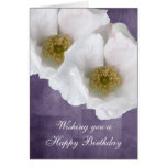 White Beach Rose Birthday Card