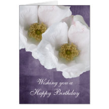 White Beach Rose Birthday Card