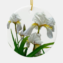 White Bearded Iris Blossoms Ornament