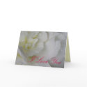 White Begonia cards
