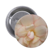 White Begonia Flower Button