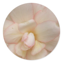 White Begonia Flower Stickers