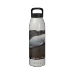 White Beluga Whales Water Bottle