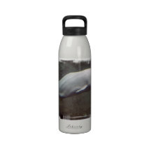 White Beluga Whales Water Bottle