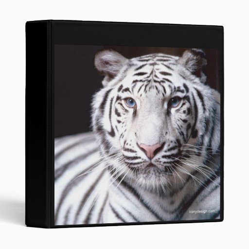 White Bengal Tiger Binder