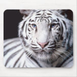 White Bengal Tiger Mousepad