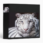 White Bengal Tiger Photography Binders